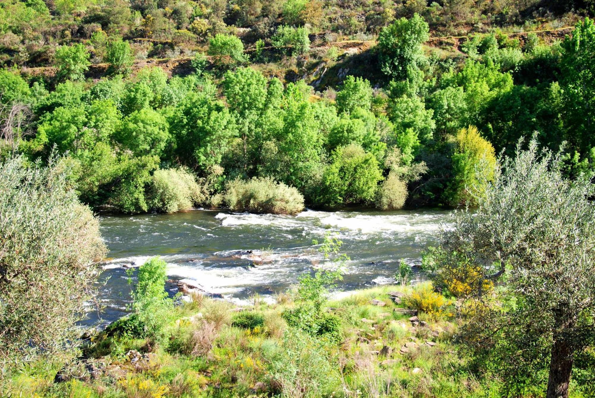Casa Oliveiras Do Douro Villa Sobreira Buitenkant foto