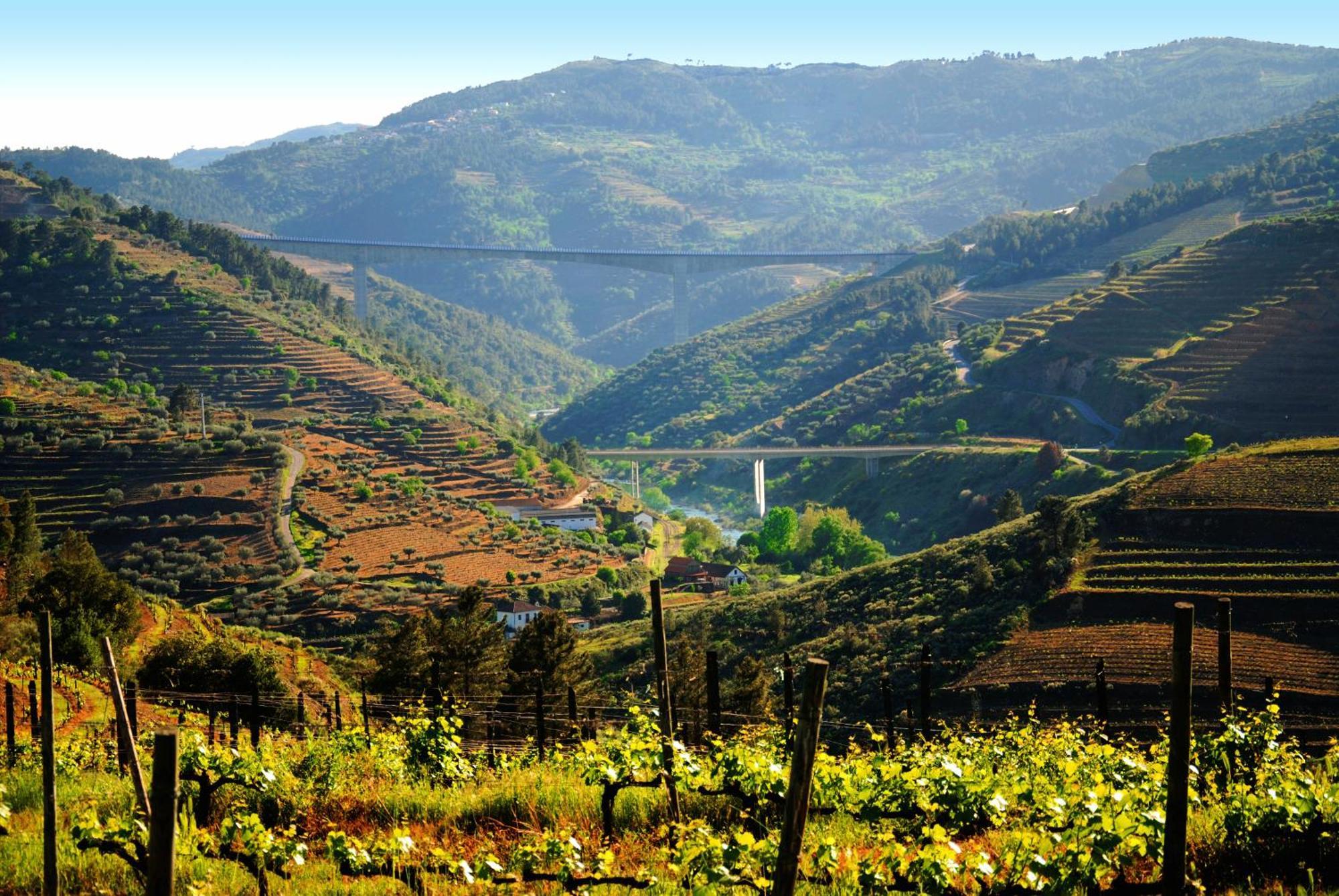 Casa Oliveiras Do Douro Villa Sobreira Buitenkant foto