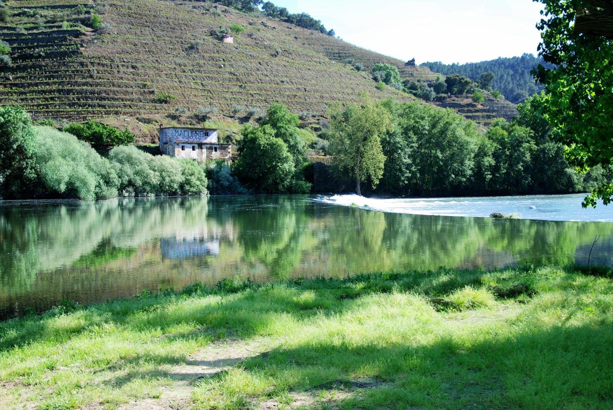 Casa Oliveiras Do Douro Villa Sobreira Buitenkant foto