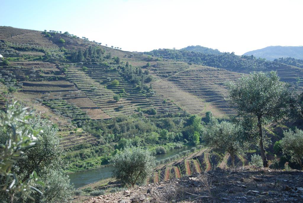 Casa Oliveiras Do Douro Villa Sobreira Buitenkant foto