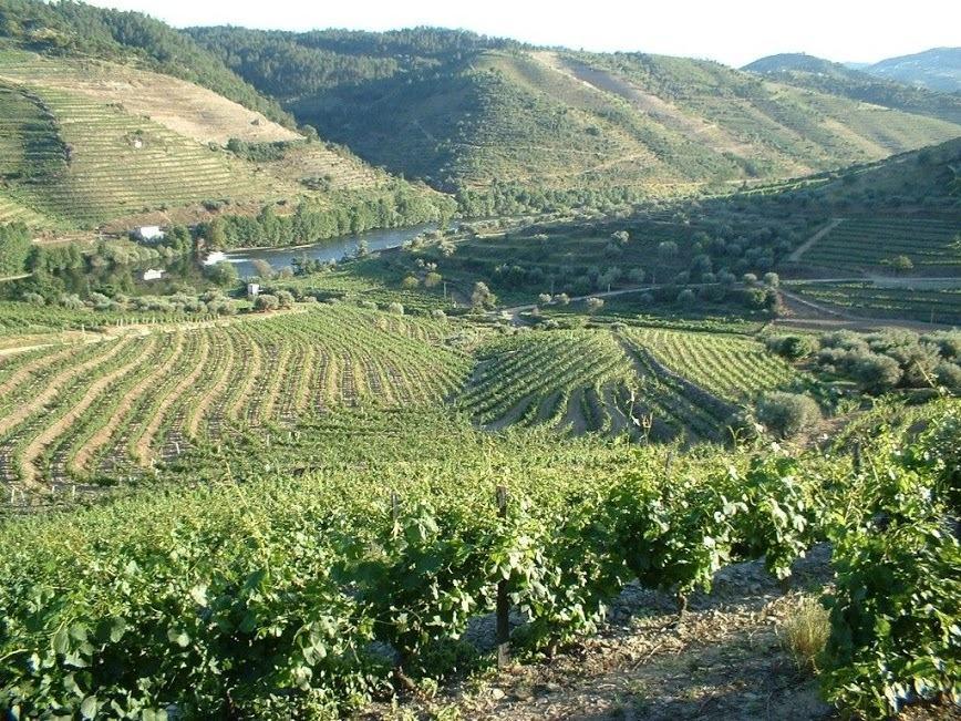 Casa Oliveiras Do Douro Villa Sobreira Buitenkant foto