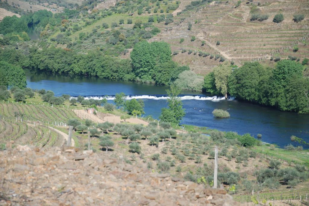 Casa Oliveiras Do Douro Villa Sobreira Buitenkant foto